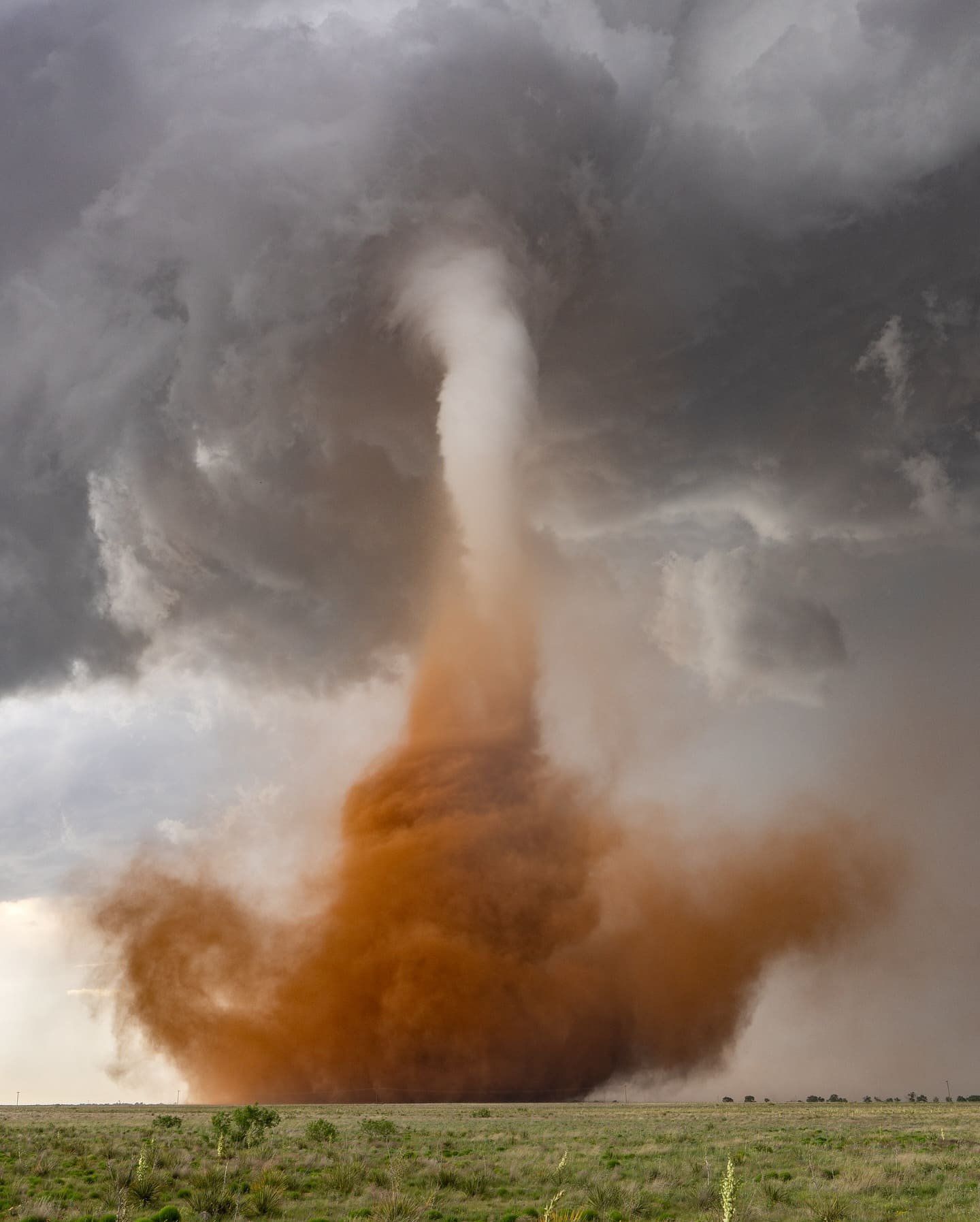 Tornado
